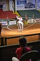 Kids_FWStockyards-2013 (95)